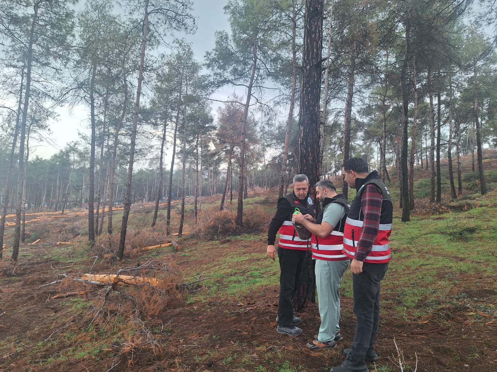 Abdullah Öğünç2-1