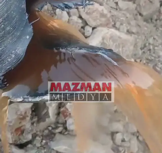 Ekran Görüntüsü 2026 02 26 143906