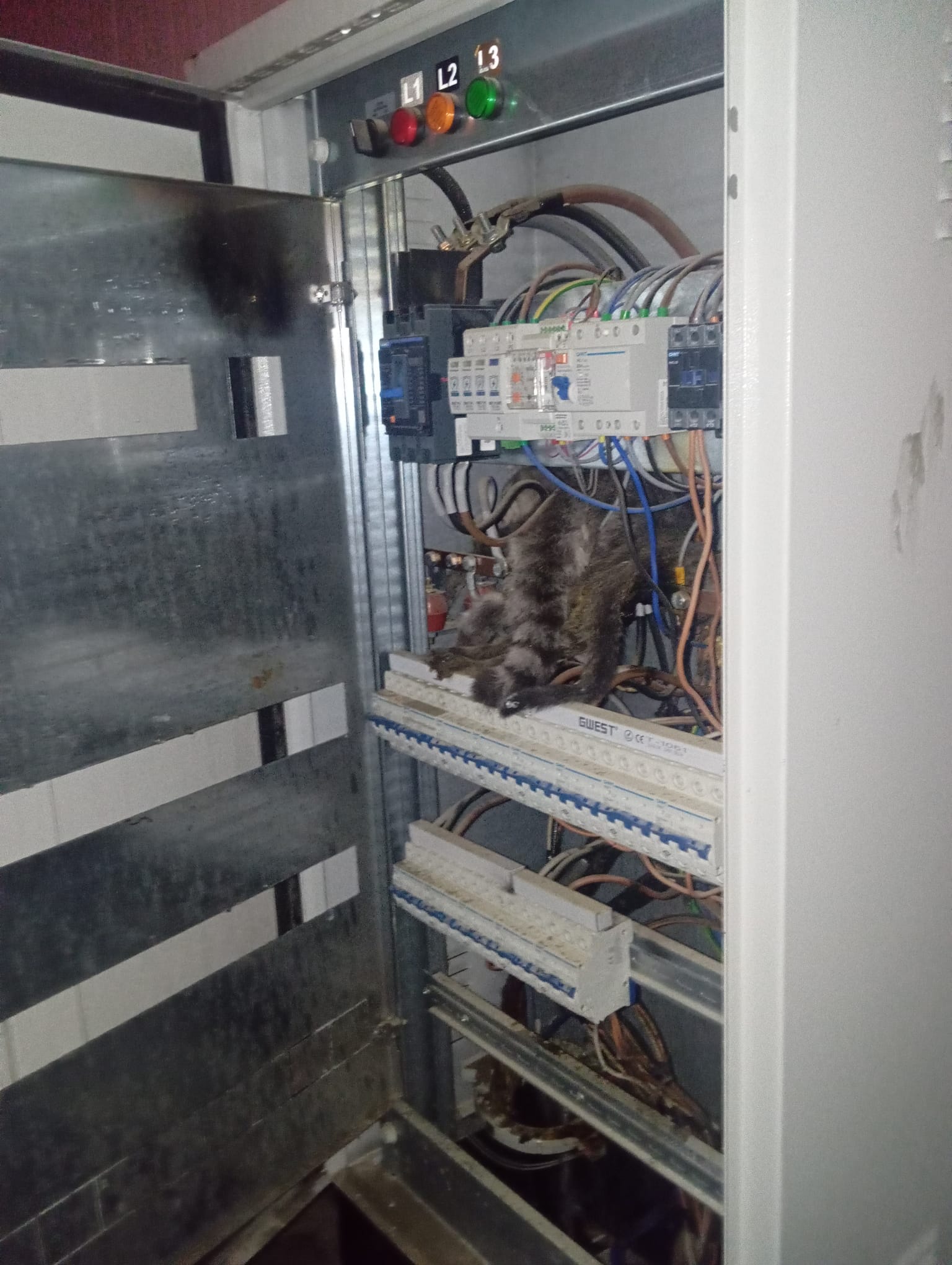 I M G 20260217 W A0019