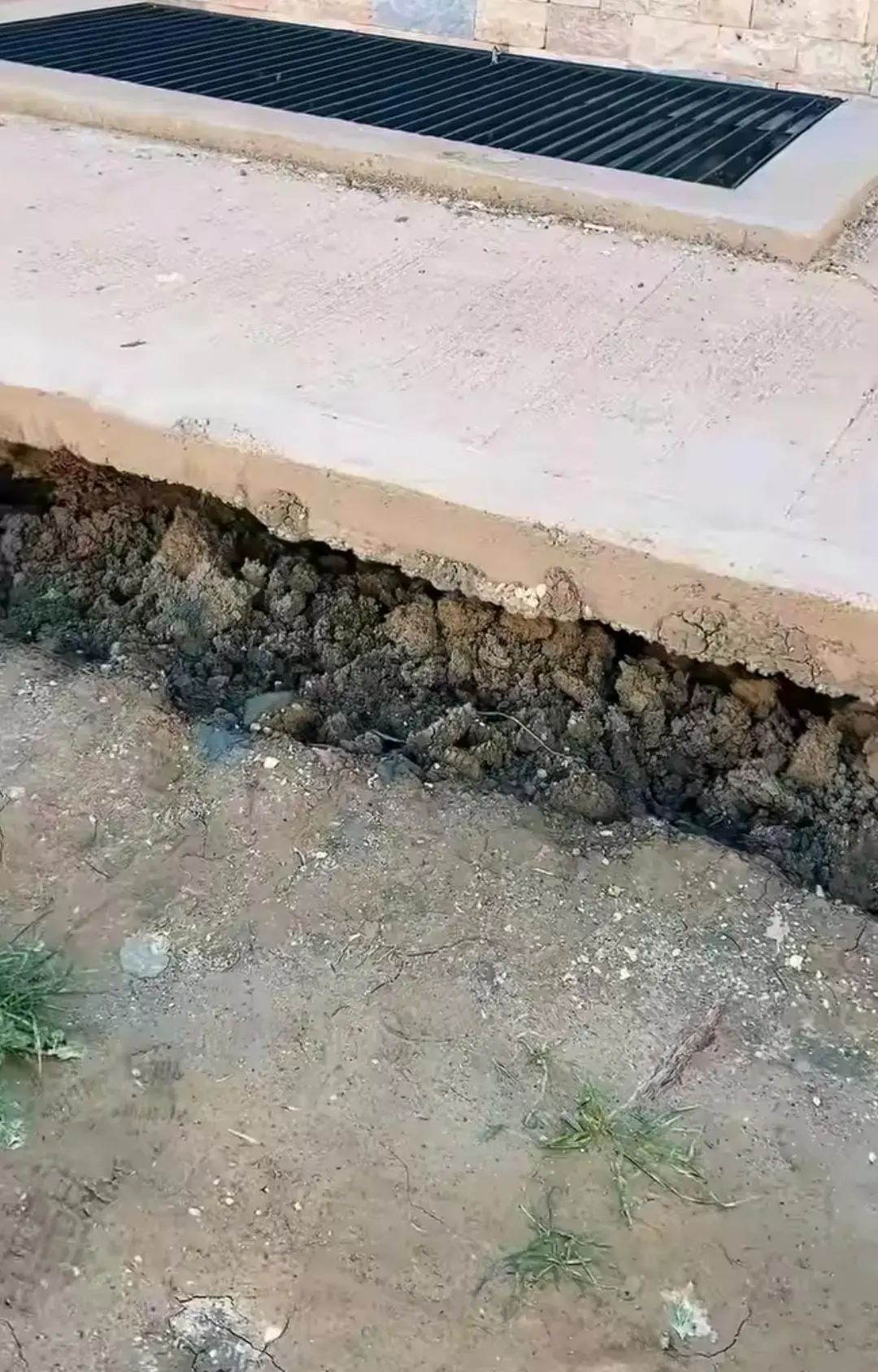 Kutlu Dikmece (2) (1)