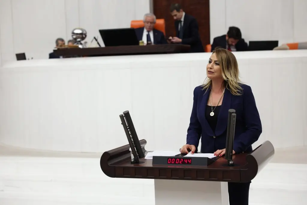 Nermi̇n Yildirim Kara