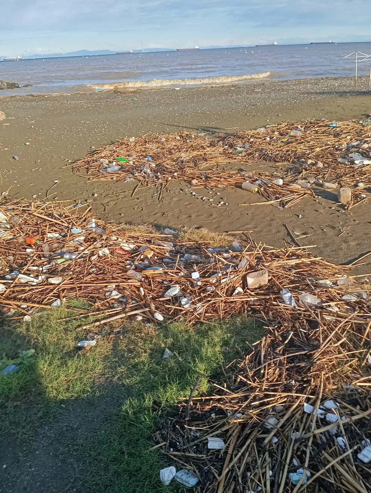 Sahil Arsuz Kirlilik (1) (1)