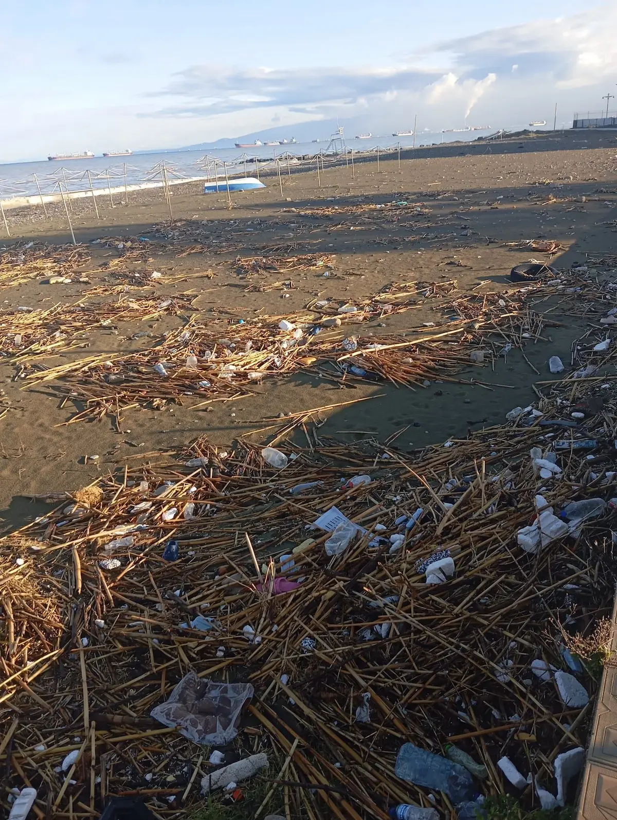 Sahil Arsuz Kirlilik (3) (1)