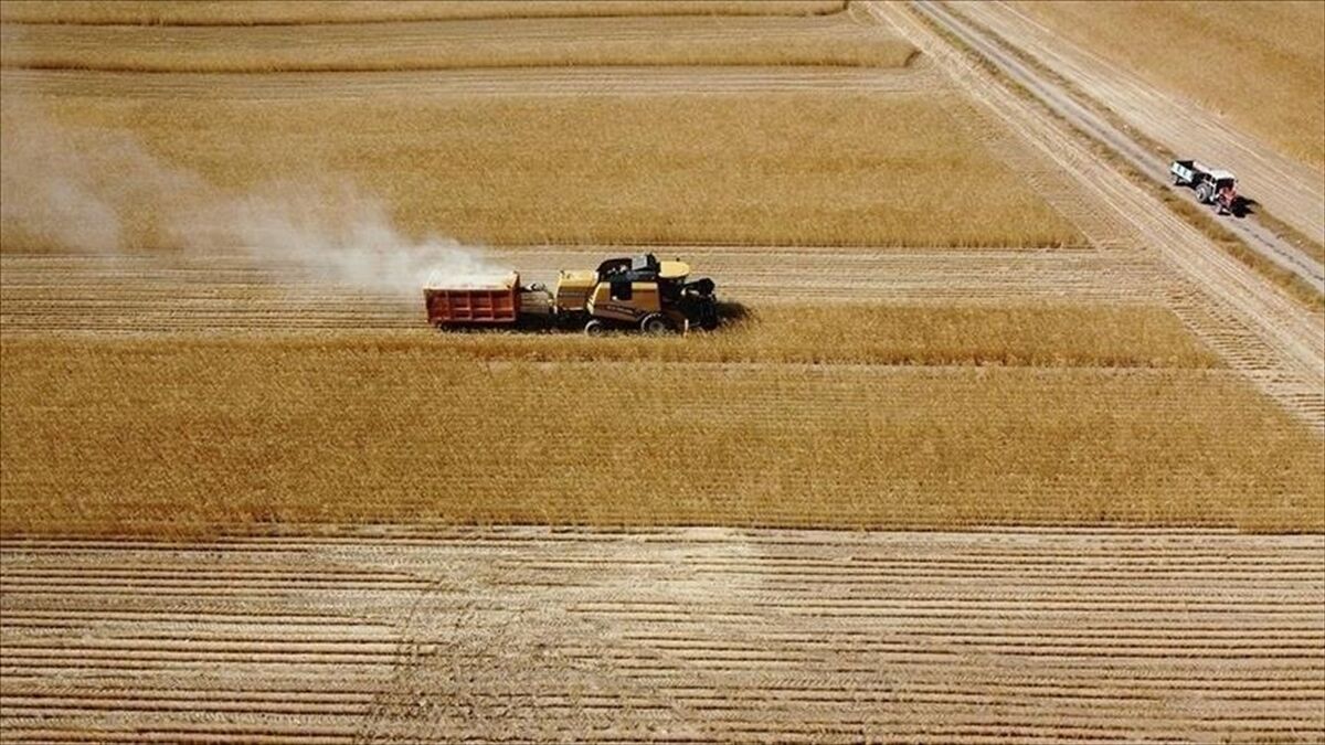 Çiftçilere 8,7 Milyar Lira Tarımsal Destekleme Ödemesi Bugün Yapılacak