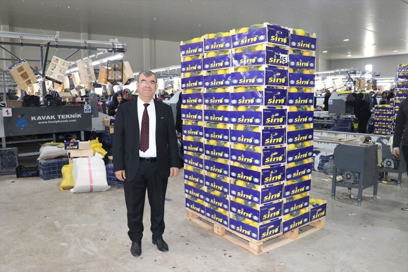 Bereketin Başkenti Hatay, İhracatta Türkiye’yi Sırtlıyor! (1)