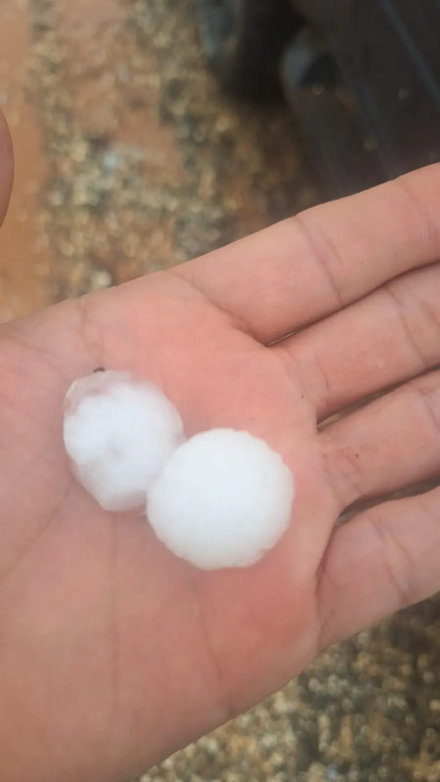 Dolu Tarım Arazileri (2)