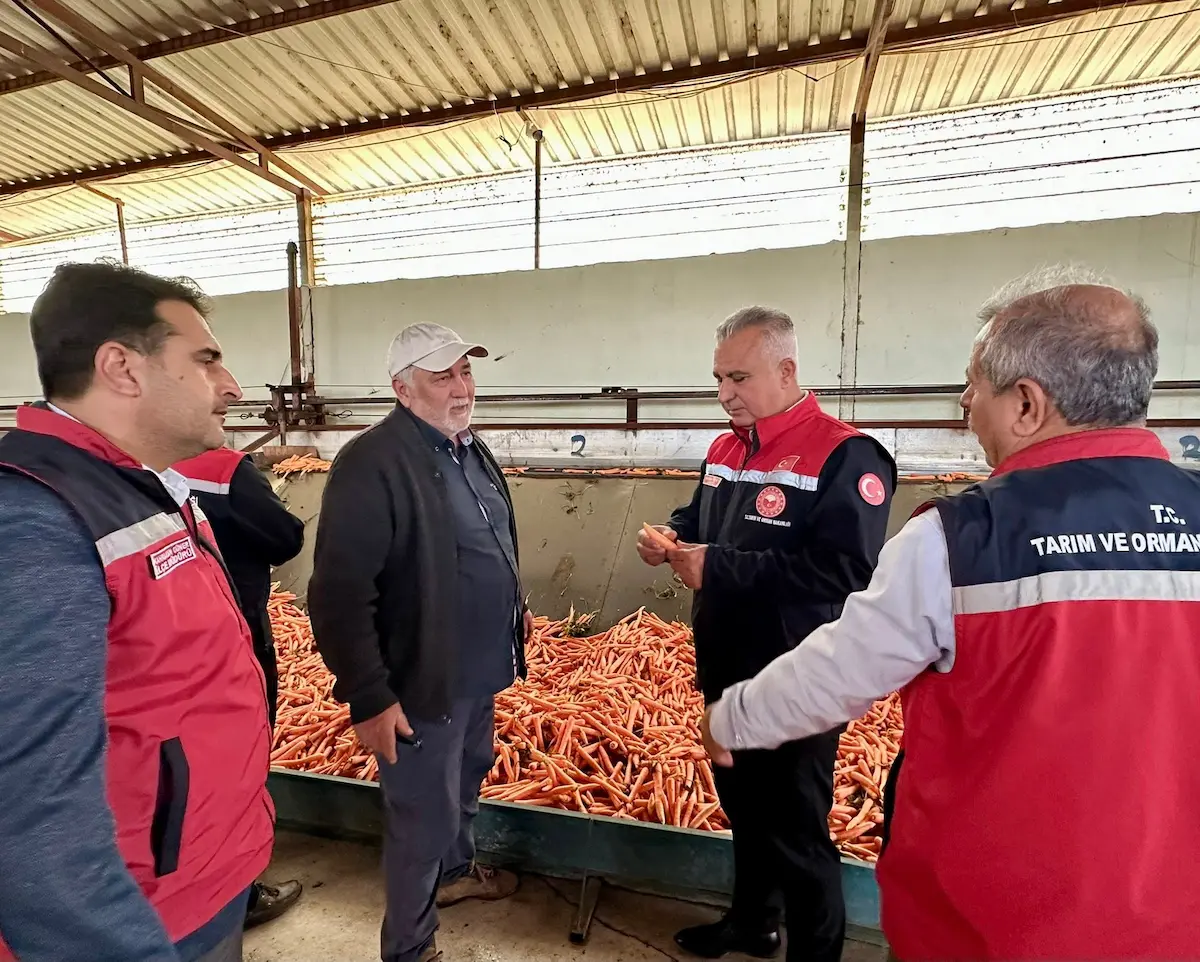 Havuç Üretim Tesisi (3)