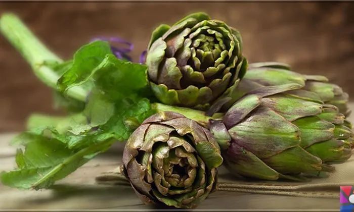 I M G 20260409 W A0069