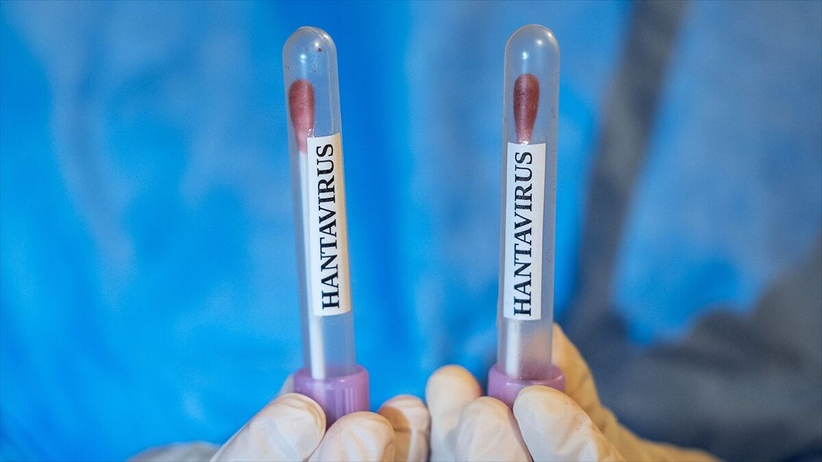 Abd, Hantavirüs Vakası Görülen Gemiden Vatandaşlarının Tahliyesi Için Uçak Gönderecek