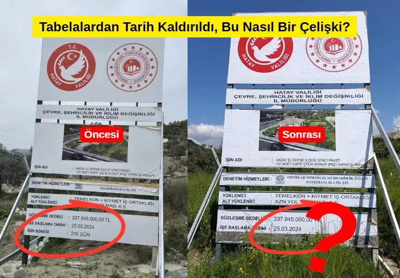 Defne Toki (2)