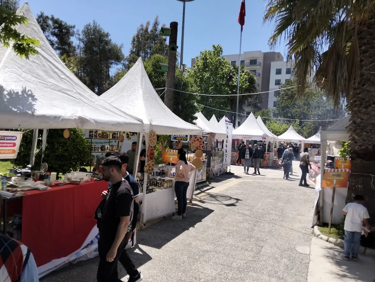 Festival (1) (1)
