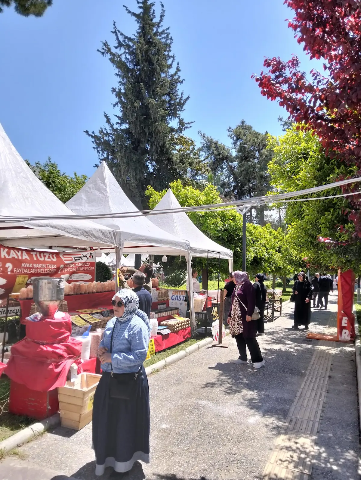 Festival (3)-1