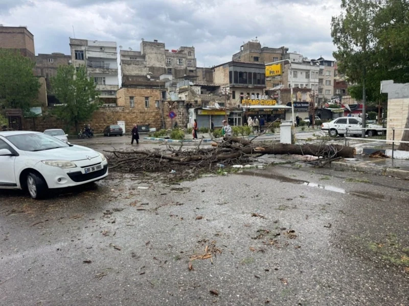 Fırtına44