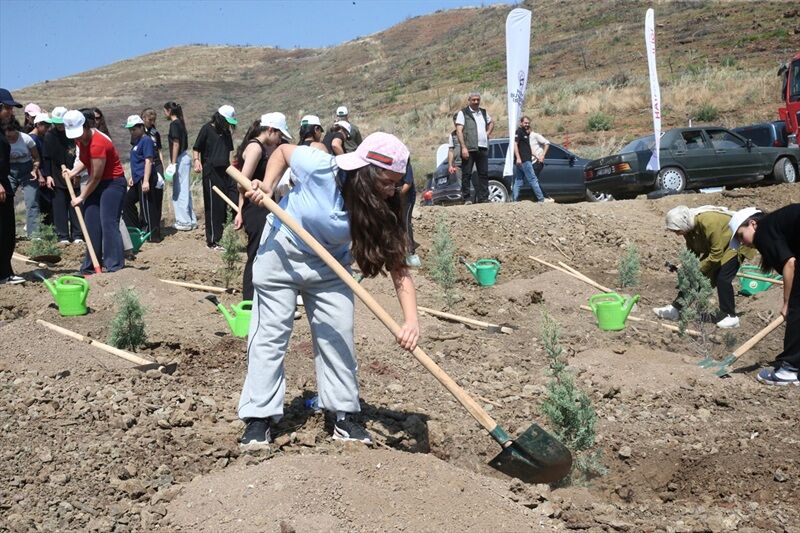Hatay’da Yangının İzleri Siliniyor Yanan Alana 1000 Fidan Dikildi (2)
