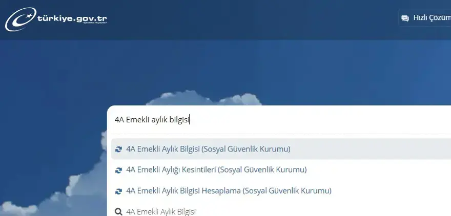 Nakit Para Emekli Maaş (2)