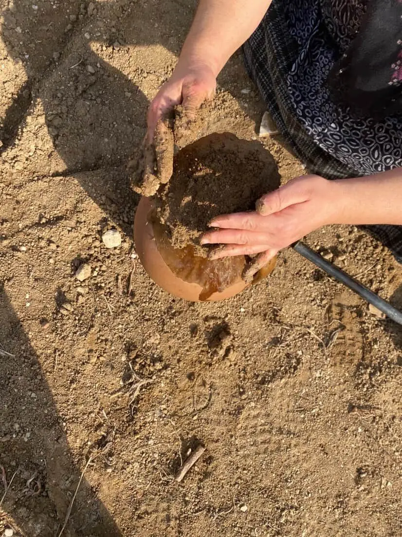 Peynir (1)