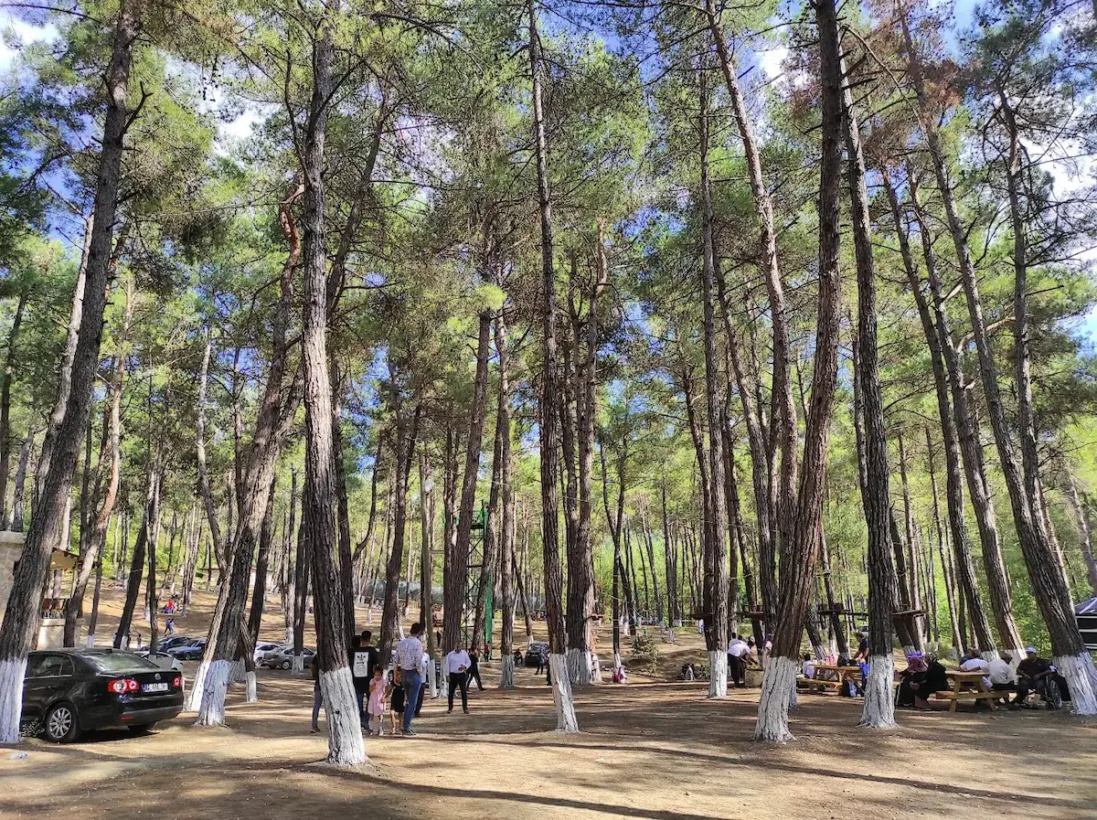 Yayladağı Mesire Alanı (7)