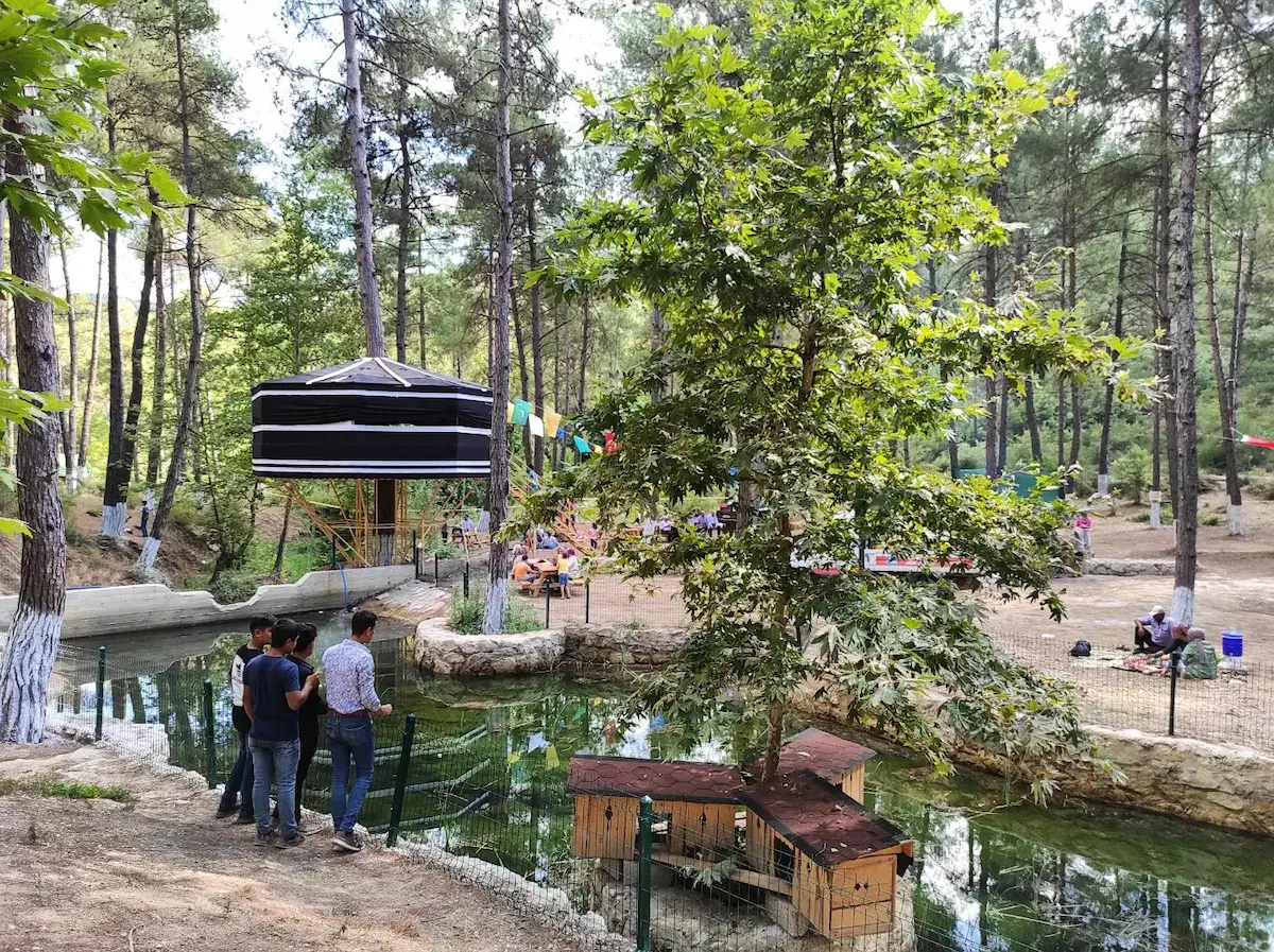 Yayladağı Mesire Alanı (9)