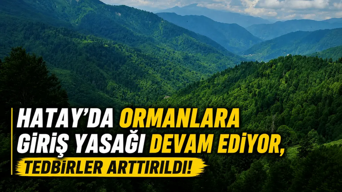 Hatay’da Ormanlara Giriş Yasağı Devam Ediyor, Tedbirler Arttırıldı!