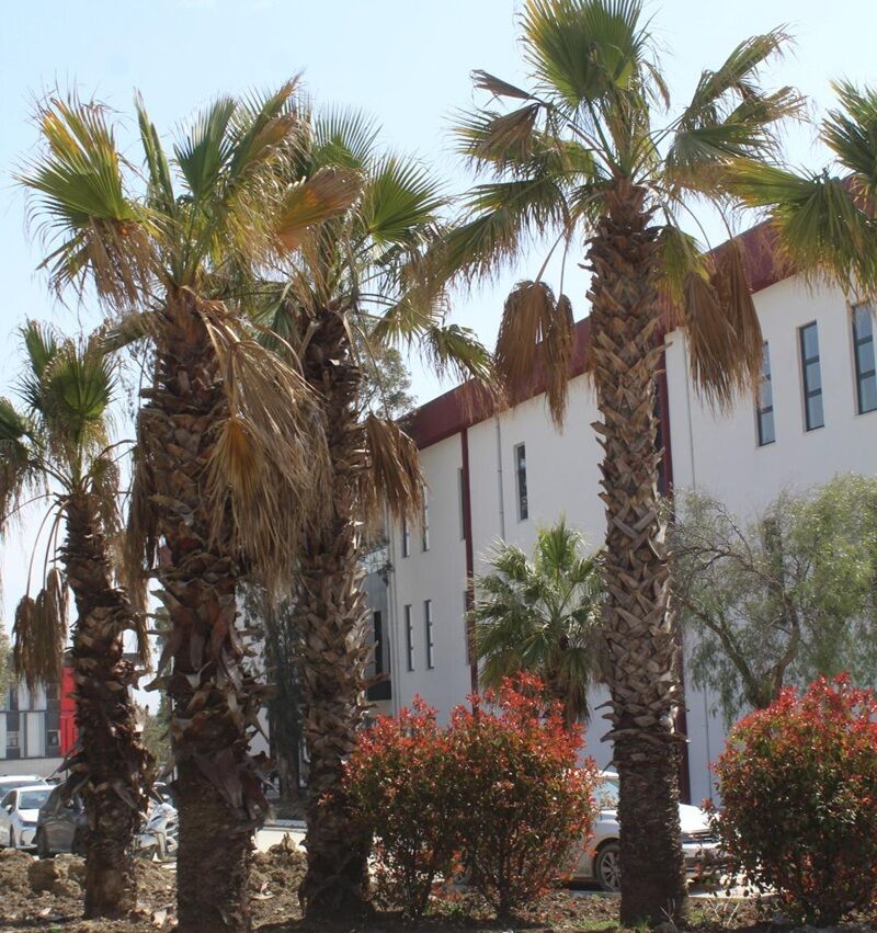 Antakya Myo, Güçlü Akademik Kadrosu Ve Modern Eğitim Altyapısıyla Öğrencilerini Bekliyor (1)