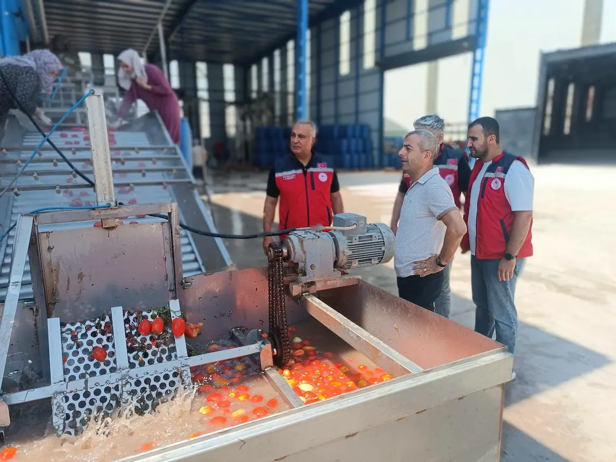 Salça Taırm Domates (2)