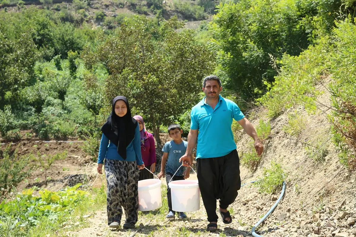 Sınav Mevlüde (6)
