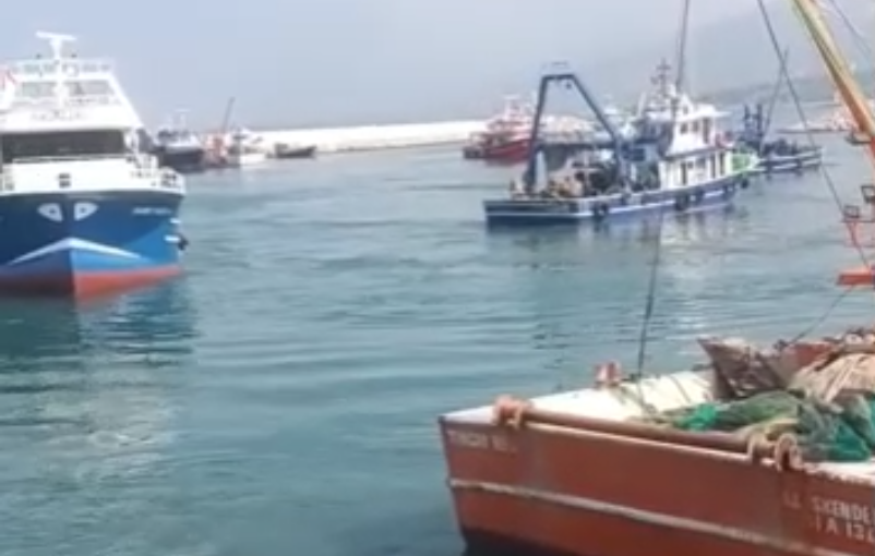 Hataylı Balıkçılardan Artan Maliyetlere Tepki: Tekneler Limana Döndü