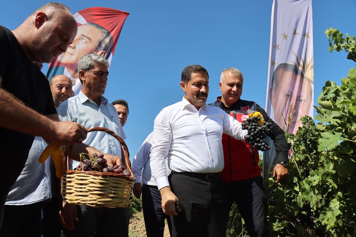 HATAY