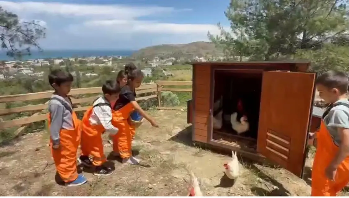 Arsuz Orman Okulu (4)