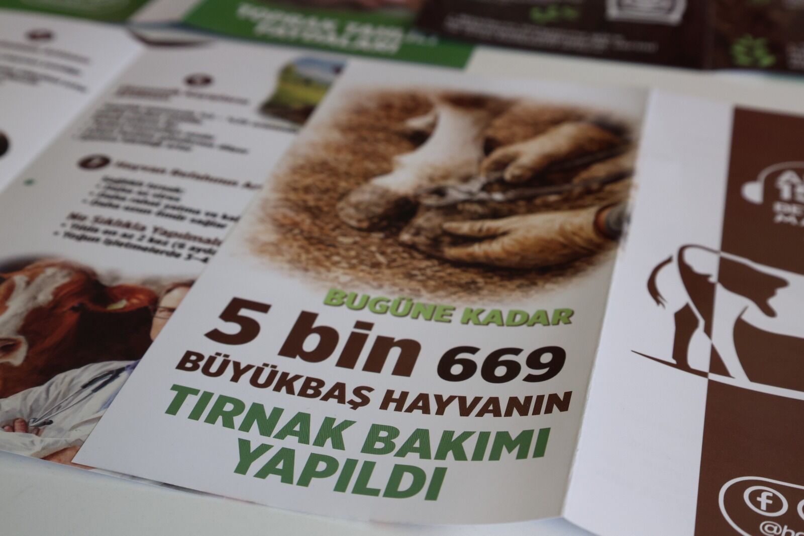 Hbb Çi̇ftçi̇ler (6)