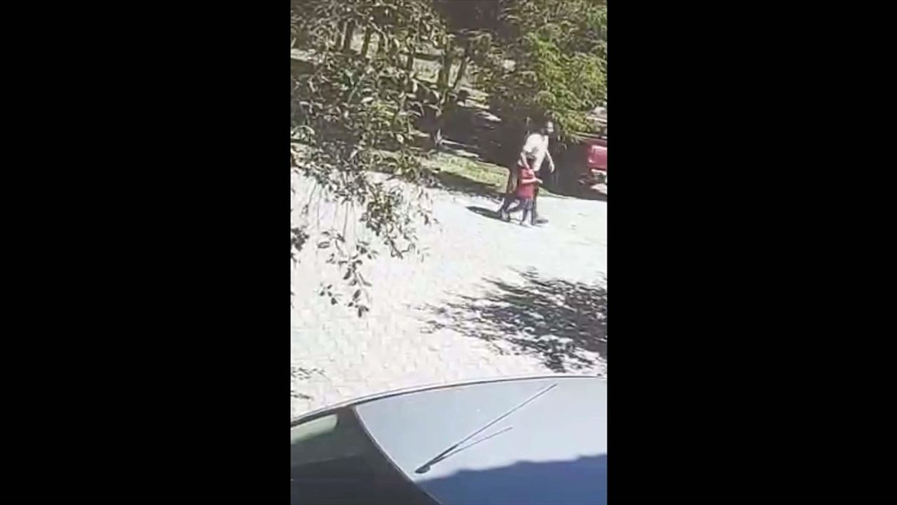 Bitlis'te sahipsiz köpeklerin saldırdığı çocuk vatandaşın yardımıyla kurtarıldı