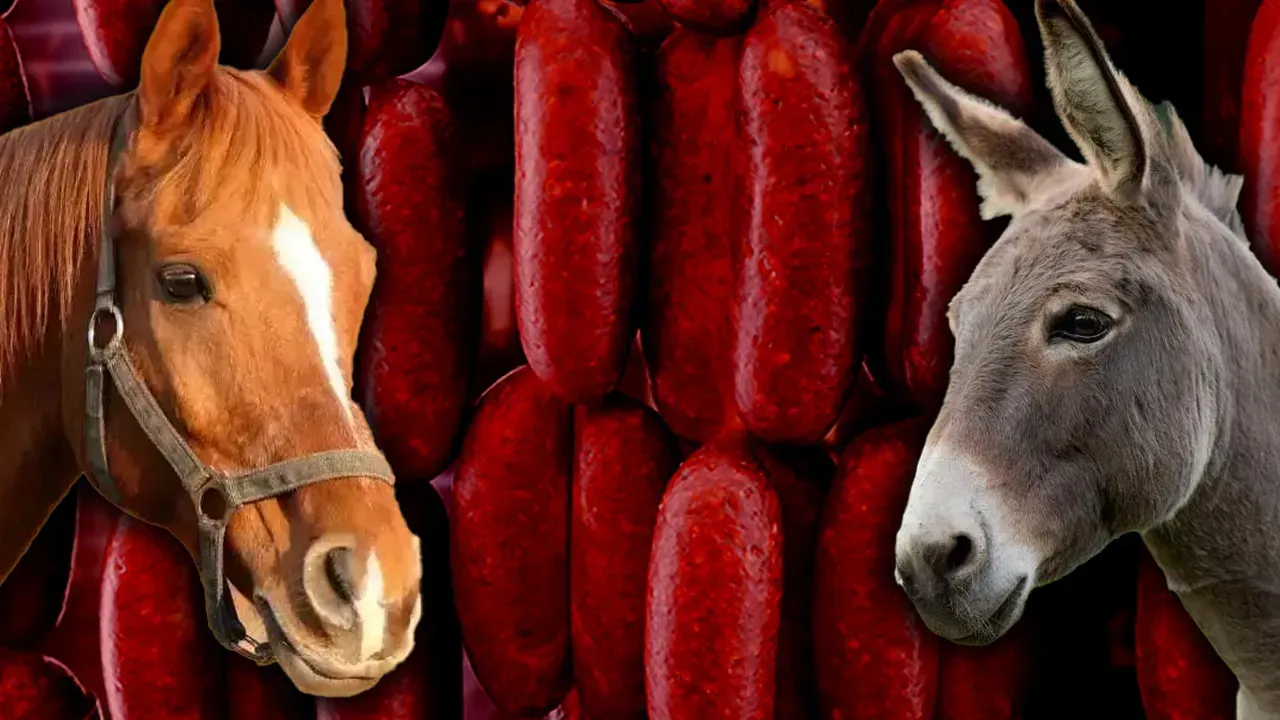 Ünlü Marka Da Listede! Domuz, At Ve Eşek Etinden Yapılan Sucuk Skandalı