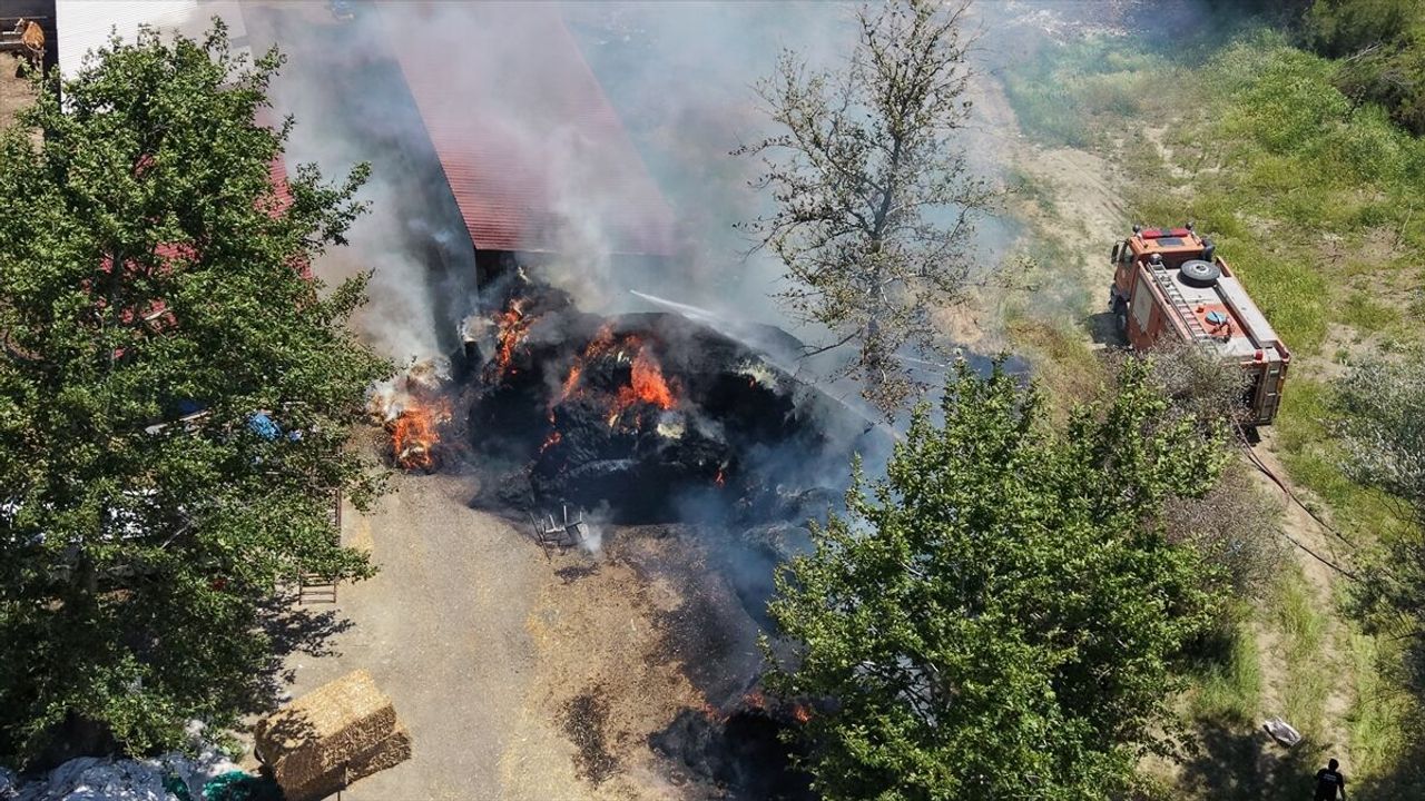Adana'da büyükbaş çiftliğinde çıkan yangın söndürüldü