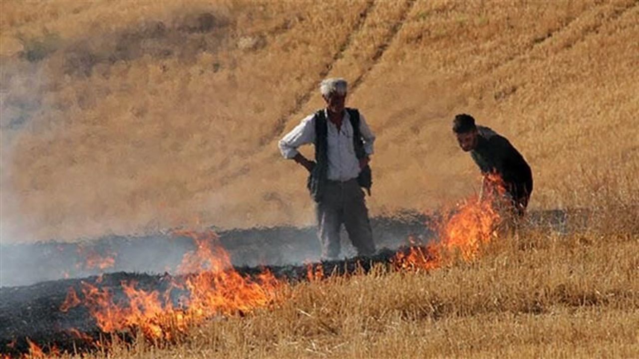 Hatay’da Çevreyi Koruyan Adım Meyvesini Verdi !