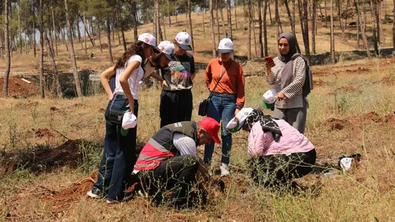 Hatay’ın Koruma Altındaki Misafirleri İlgi Odağı Oldu