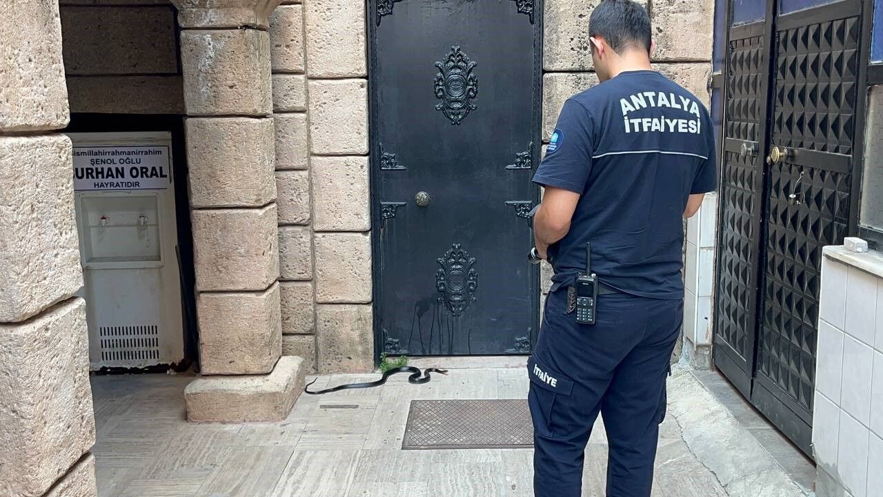 Namaza gelen cemaat karşılaştıkları yılanı önce oyuncak sand