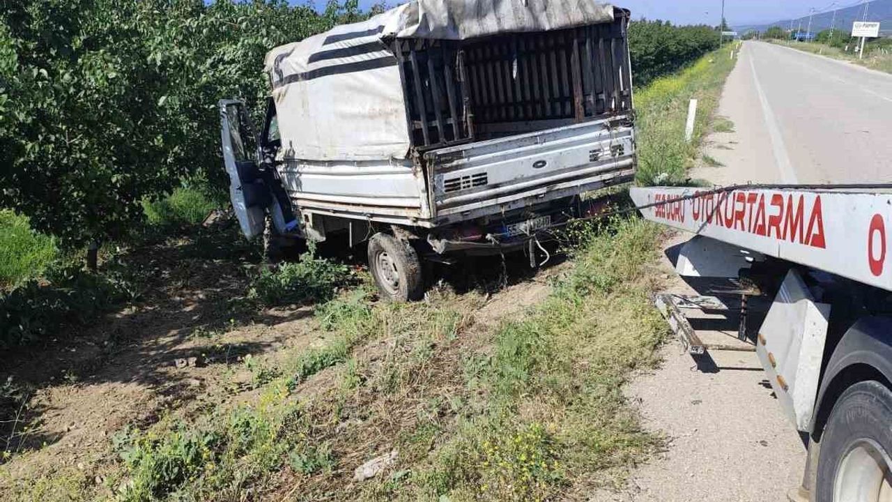 Yalvaç yolunda hayvan nakil kamyoneti kayısı bahçesine daldı