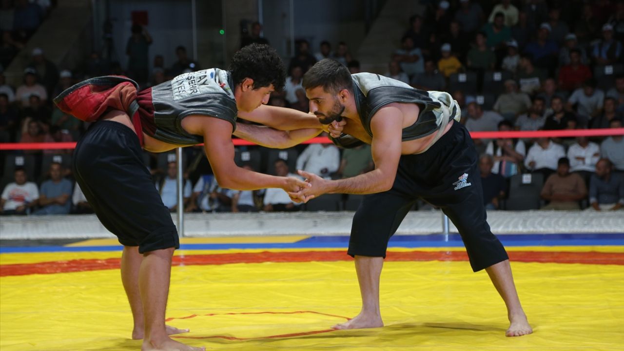 12. Uluslararası Aba Güreşi Dünya Şampiyonası sona erdi