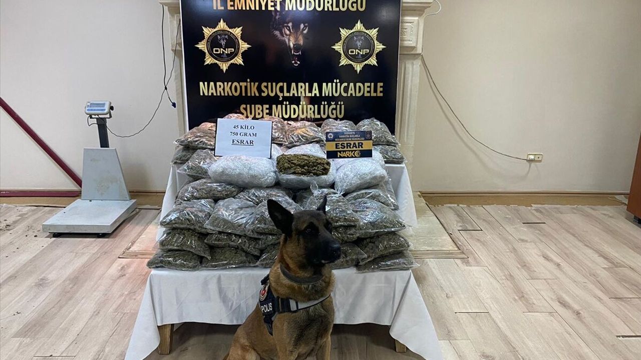 Bir tırda 45 kilo 750 gram esrar ele geçirildi￼