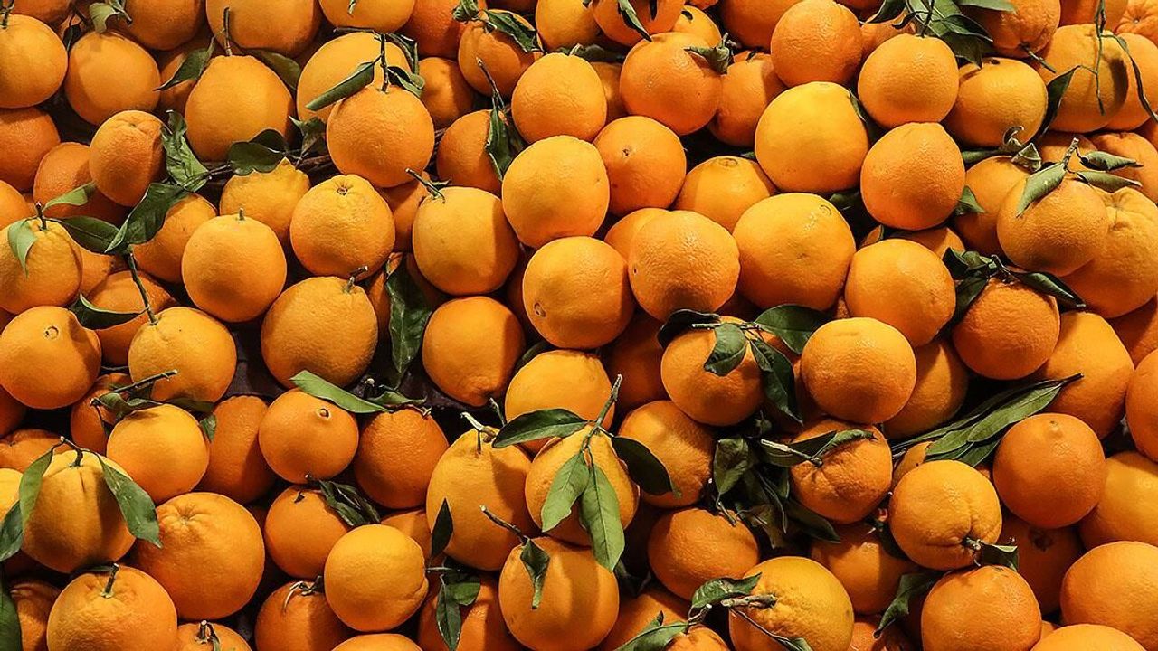 Türkiye'nin narenciye ürünleri ihracatı, 2023'te 1 milyar doları aştı￼