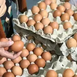 Yumurta Fiyatlarında Rekor Artış: 4 Haftada Yüzde 61 Zam