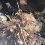 Alanya'da çevreyi kirleten otelle ilgili suç duyurusunda bulunuldu