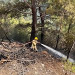 Alanya'da ormanlık alanda çıkan yangın söndürüldü