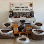 Antalya'da kaçak tütün operasyonunda 1 şüpheli yakalandı