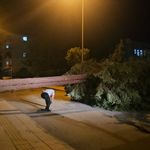 Çorum'da rüzgarın devirdiği çam ağacı park halindeki araçlara zarar verdi