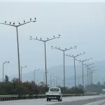 Göç Eden Leylekler Hatay Semalarında Görüntülendi
