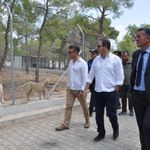 Silifke Kaymakamı Eyüp Fırat, sahipsiz köpeklerin doğal yaşam alanını inceledi