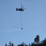 Hatay'da çıkan orman yangını söndürüldü