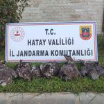Hatay’da Kovadan Çıkanlar Şoke Etti: Avcıya 1 Milyon 330 Bin TL Ceza!