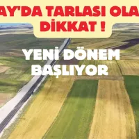 Tarım